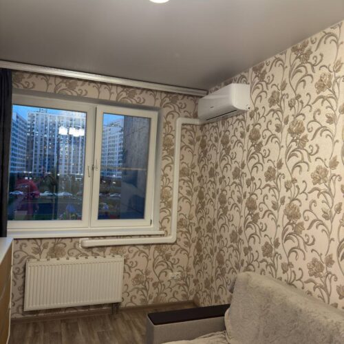 photo_9_2026-02-11_02-35-54